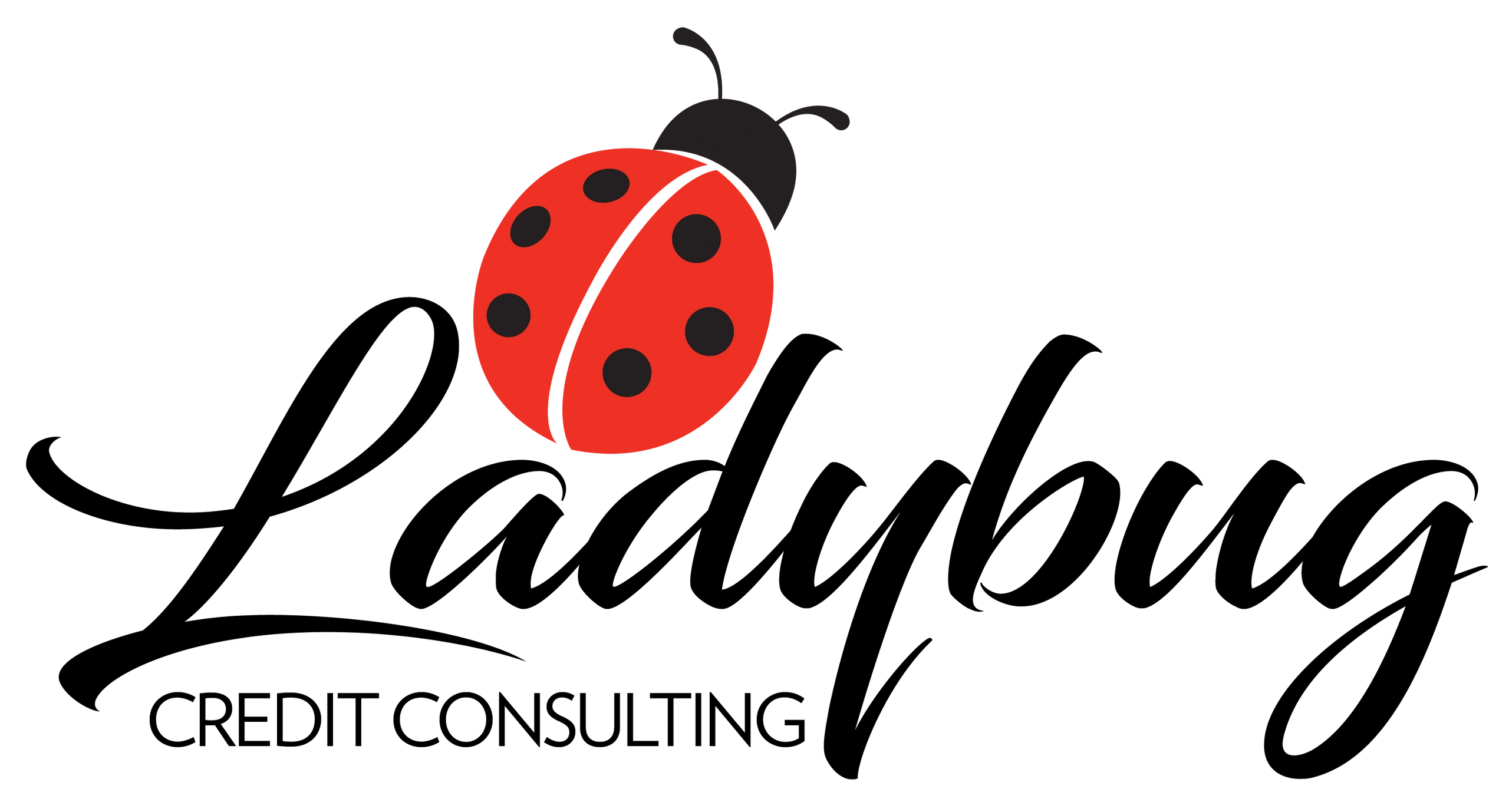Ladybug Credit Consulting